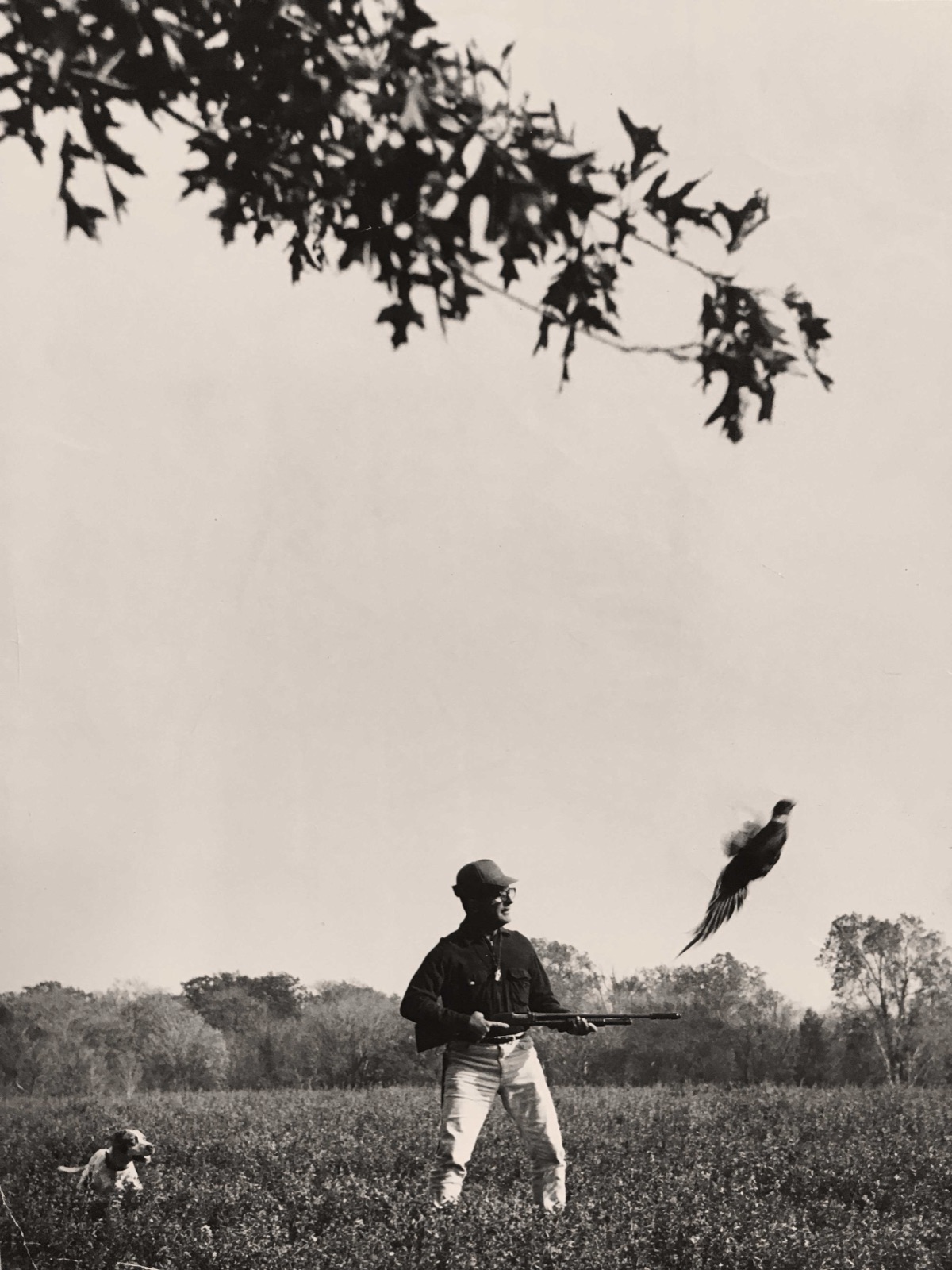 Preston Mann shooting over a pointing dog, mid-century